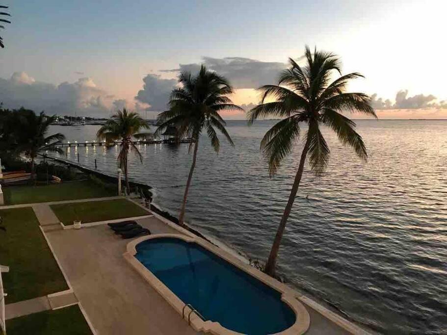Flamingo By Andiani Travel Apartment Cancún Exterior foto