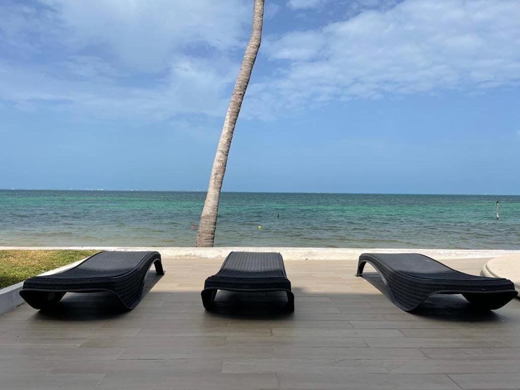 Flamingo By Andiani Travel Apartment Cancún Exterior foto